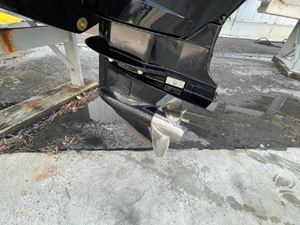 2020 Bayliner F21 Element 53 54