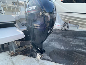 2020 Bayliner F21 Element 54 55