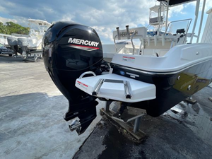 2020 Bayliner F21 Element 55 56