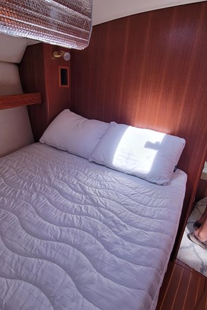 8978314_20230801090130270_1_XLARGE