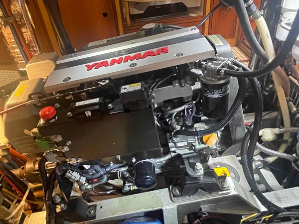 8996416_20230812041823951_1_XLARGE