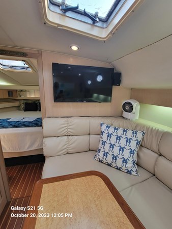 9089241_20231022084049775_1_XLARGE