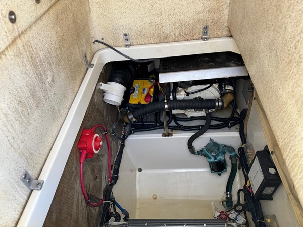 9119484_20231103014231455_1_XLARGE