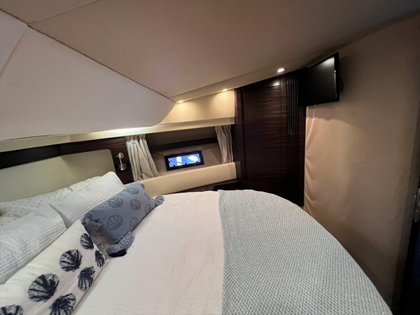 9171385_956299899_0_181220231011_11