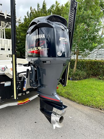 9102475_20231024164029887_1_XLARGE