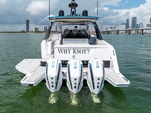 WHY KNOT 20 