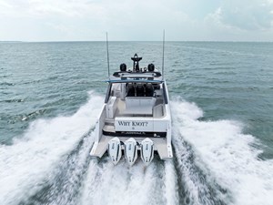 WHY KNOT 24 