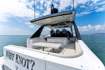 WHY KNOT 79 