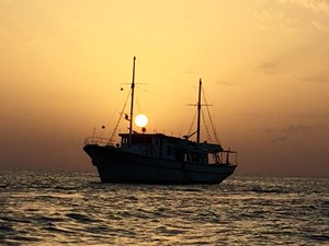 Tilikum Delta 22 tilikum7