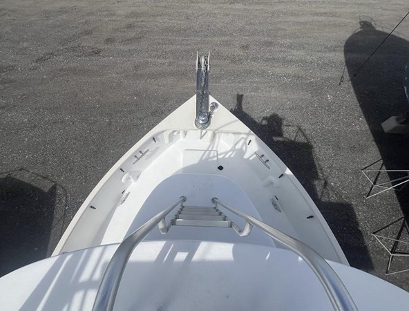 9212071_20240131124341777_1_XLARGE