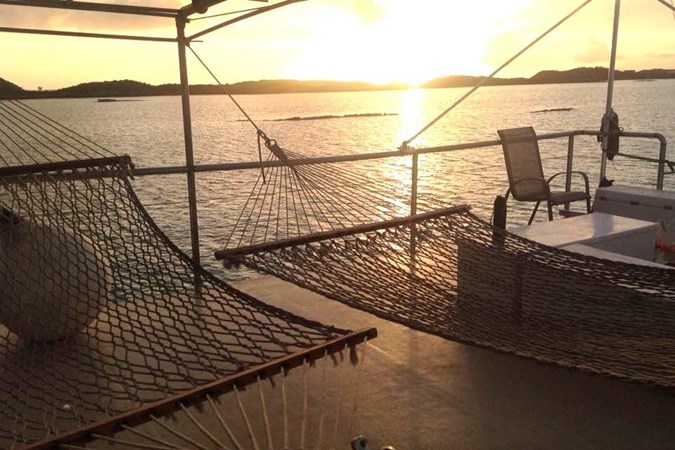 9212071_20240203045731868_1_XLARGE