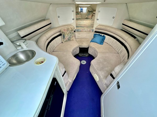 9126987_20240125074902794_1_XLARGE