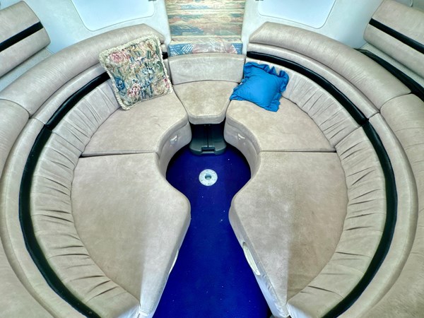 9126987_20240125074914252_1_XLARGE