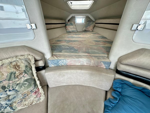 9126987_20240125074926755_1_XLARGE