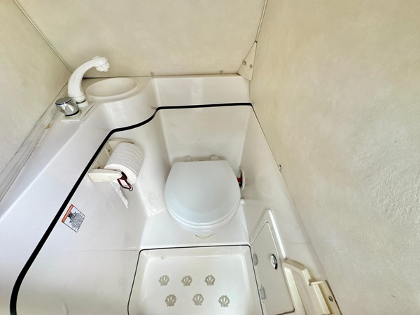 9126987_20240125074932965_1_XLARGE