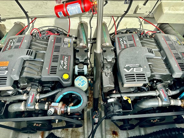 9126987_20240125075012763_1_XLARGE