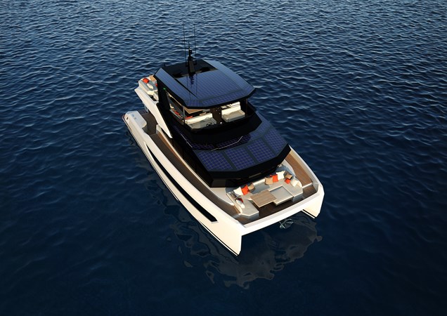 RB035  TribaleCat56 perspective 4