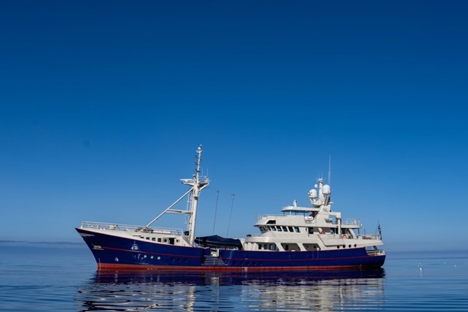 SCINTILLA MARIS
