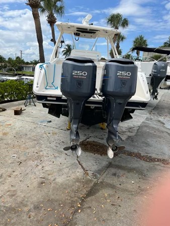 4_2009 31ft Pursuit S310 RELENTLESS