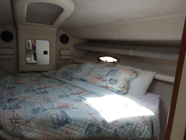 9317422_20240329071808827_1_XLARGE