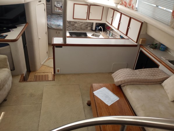 9317422_20240329071844547_1_XLARGE