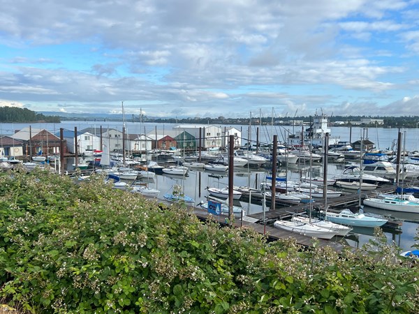 1984 LARSON BOATHOUSE