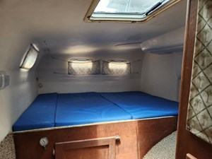 LICKETY SPLIT 54 Starboard 6