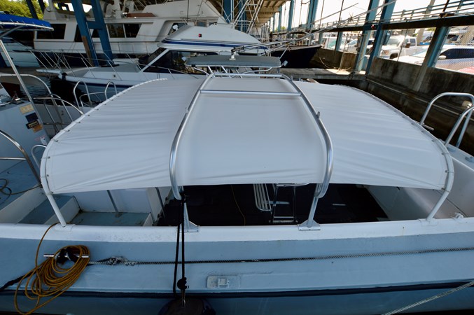 50 WILLARD 1979 CANOPY TOP