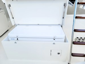 Xlarge Exterior Freezer chest