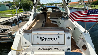 2016 Sea Ray 310 Sundancer 1