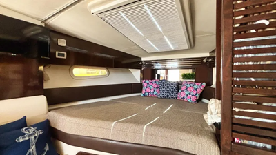 2016 Sea Ray 310 Sundancer 8