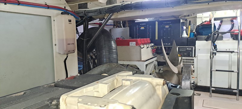 WhatsApp Image 2024-08-12 at 5.35.39 PM (1)