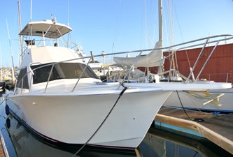 BITE ME 47 Dockside Bow