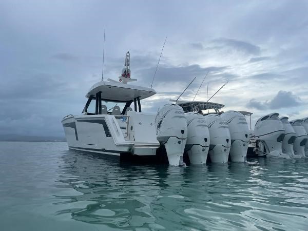 9242297_20240213080228263_1_LARGE - Copy