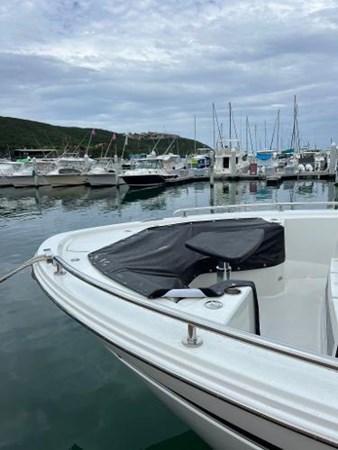 9242297_20240213080229704_1_LARGE - Copy