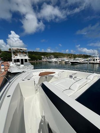 9242297_20240213080253497_1_LARGE - Copy