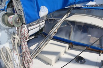 SHAMWARI 36 Vang