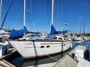THE HAMMER II 45 Dockside 2