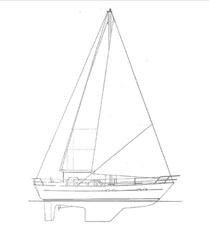 THE HAMMER II 56 KL 41 Profile