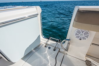 Why the Fish Knot 38 33