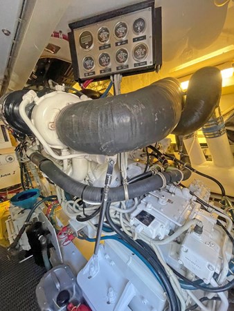 photo_5_2025-03-20_12-55-58