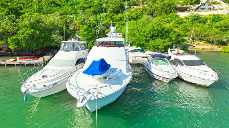 photo_40_2025-03-20_12-55-58