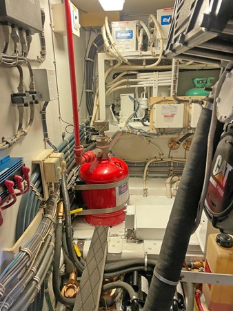 photo_54_2025-03-20_12-55-58