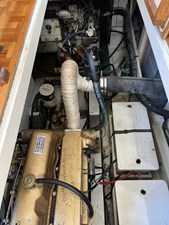 LOONS NEST 46 Engine