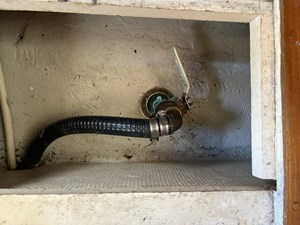 LOONS NEST 54 New through hull