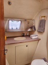 PLAN B 25 Forward Head