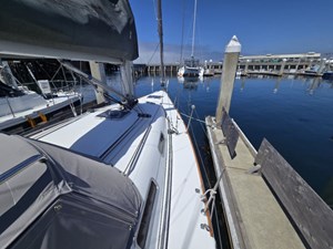 ATHENA 11 Bow
