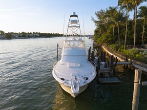 VENTURA            83 Ariel Bow Image 2   
