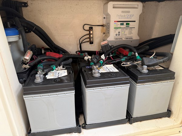 Batteries + Battery Charger   