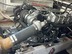 Primo 12 